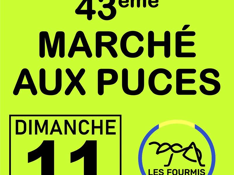 Photo de 43ème marché aux puces de Fulleren