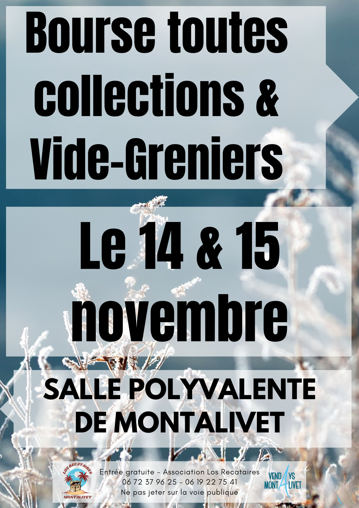 Photo de Bourses toutes collections et vide-greniers
