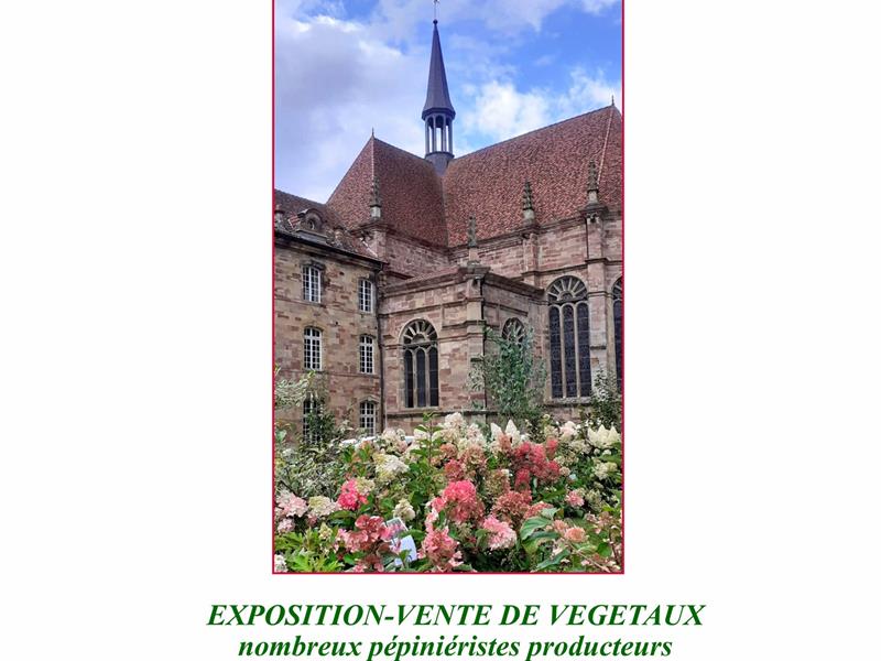 Photo de Plantes en fête à l'Abbaye d'Autrey