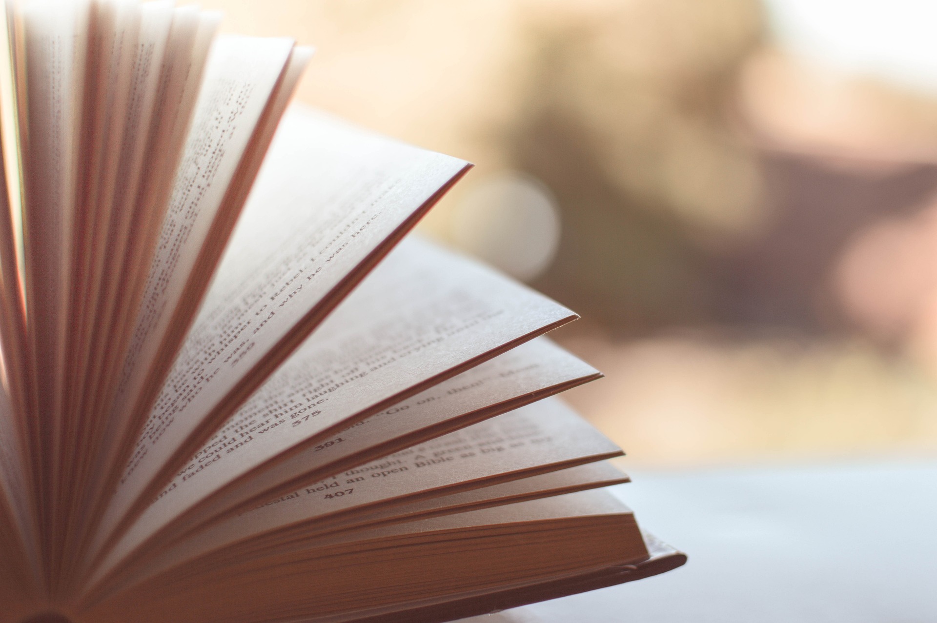 Photo de Vide grenier - Salon du livre