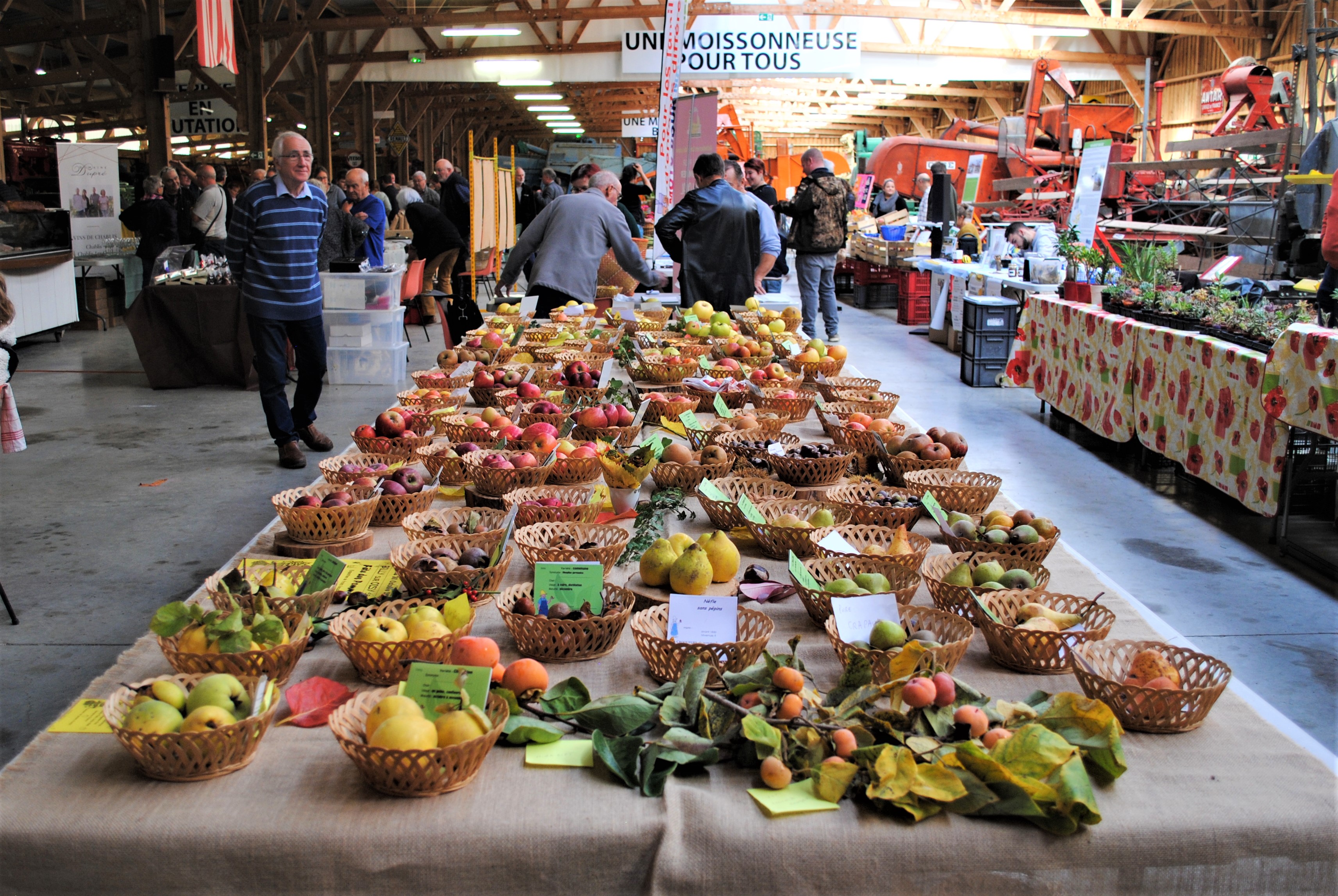 Photo de Marché du Terroir au MUMAR (Musée de la Machine Agricole) et vide-greniers