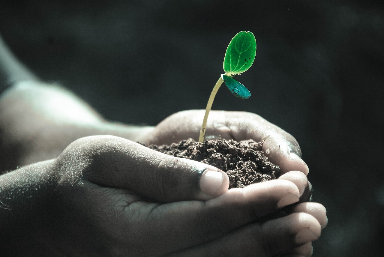 Photo de Vide-greniers et bourse aux  plantes