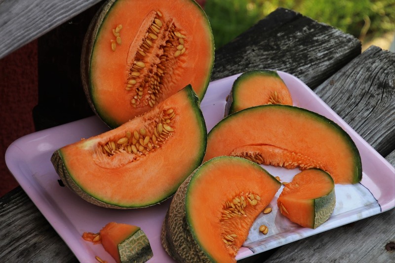 Photo de Foire aux melons